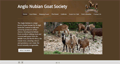 Desktop Screenshot of anglonubiangoatsociety.com